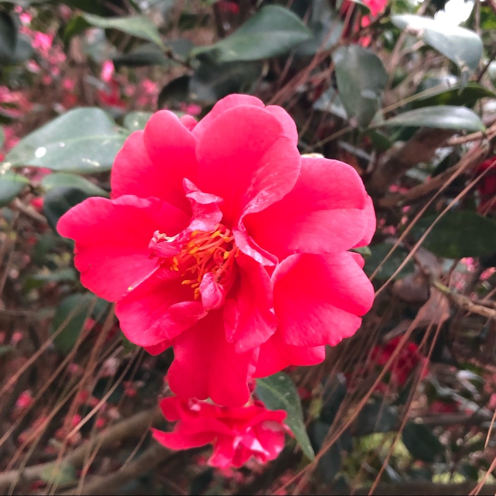 Meet your Posher, Aly